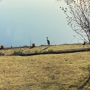 Meet your Posher, Alexa